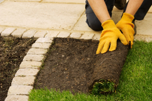 Turf installation